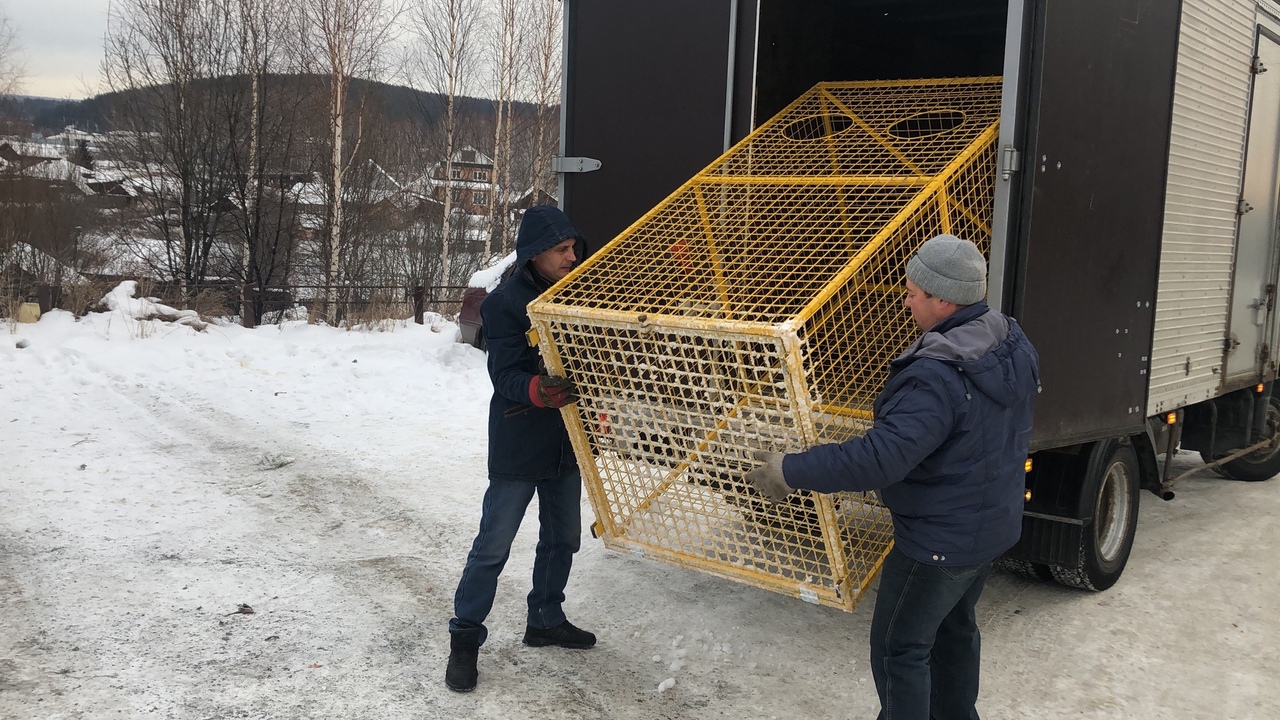 27.11.2019 г. Установка сеток для сбора пластика на улице Ильича. Нижнетуринцы активно приняли инициативу раздельного сбора пластика. За две недели было собрано более 11 кубов. В планах администрации НТГО – увеличить количество сеток для сбора пластиковых отходов 