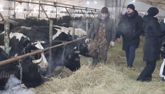 На всех фермах и в Таёжном, и в Чащавите в эти дни побывали руководители города, журналисты, депутаты Думы. 25 февраля их посетили участники выездного совещания 