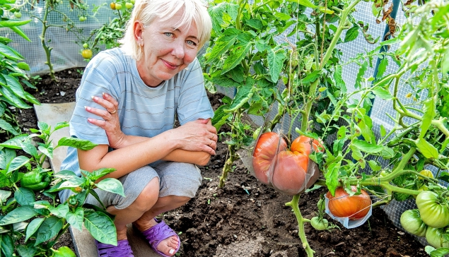 Татьяна Александровна планирует разделить и съесть помидор вместе с друзьями и близкими, а семена сохранить 