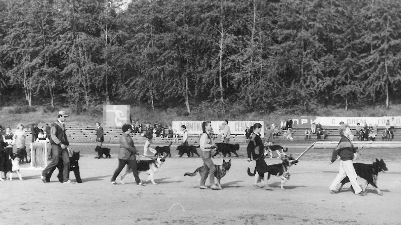 День города 1988 года. На городском стадионе «Энергия» проводится смотр охотничьих и декоративных собак