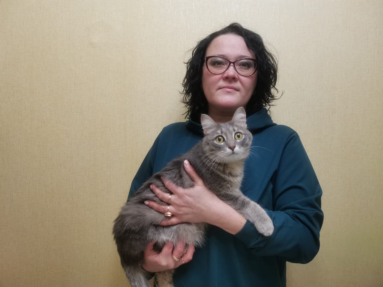 Больше года в семье зооволонтера Екатерины Вотенцовой живет кошка Мегумин, которую еще 2-месячным котенком какие-то бездушные люди выбросили на ходу из окна автомобиля