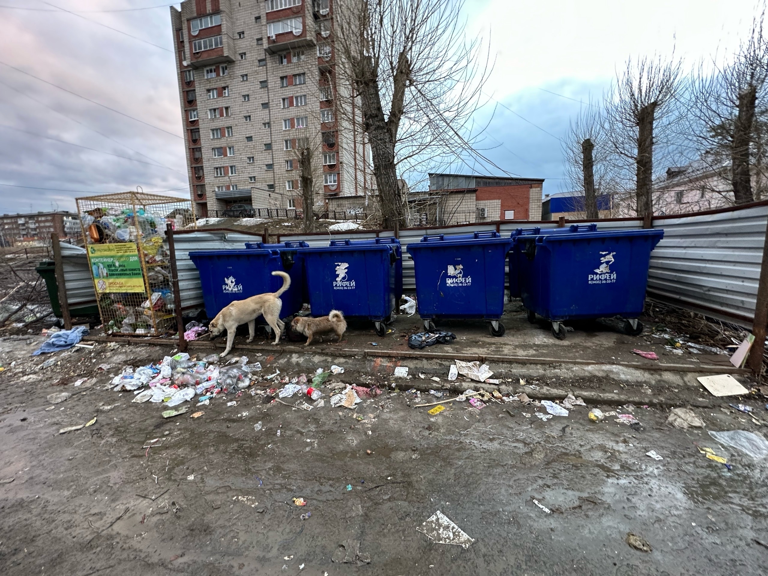 Мусор в тарифе не значится | 05.04.2023 | Нижняя Тура - БезФормата