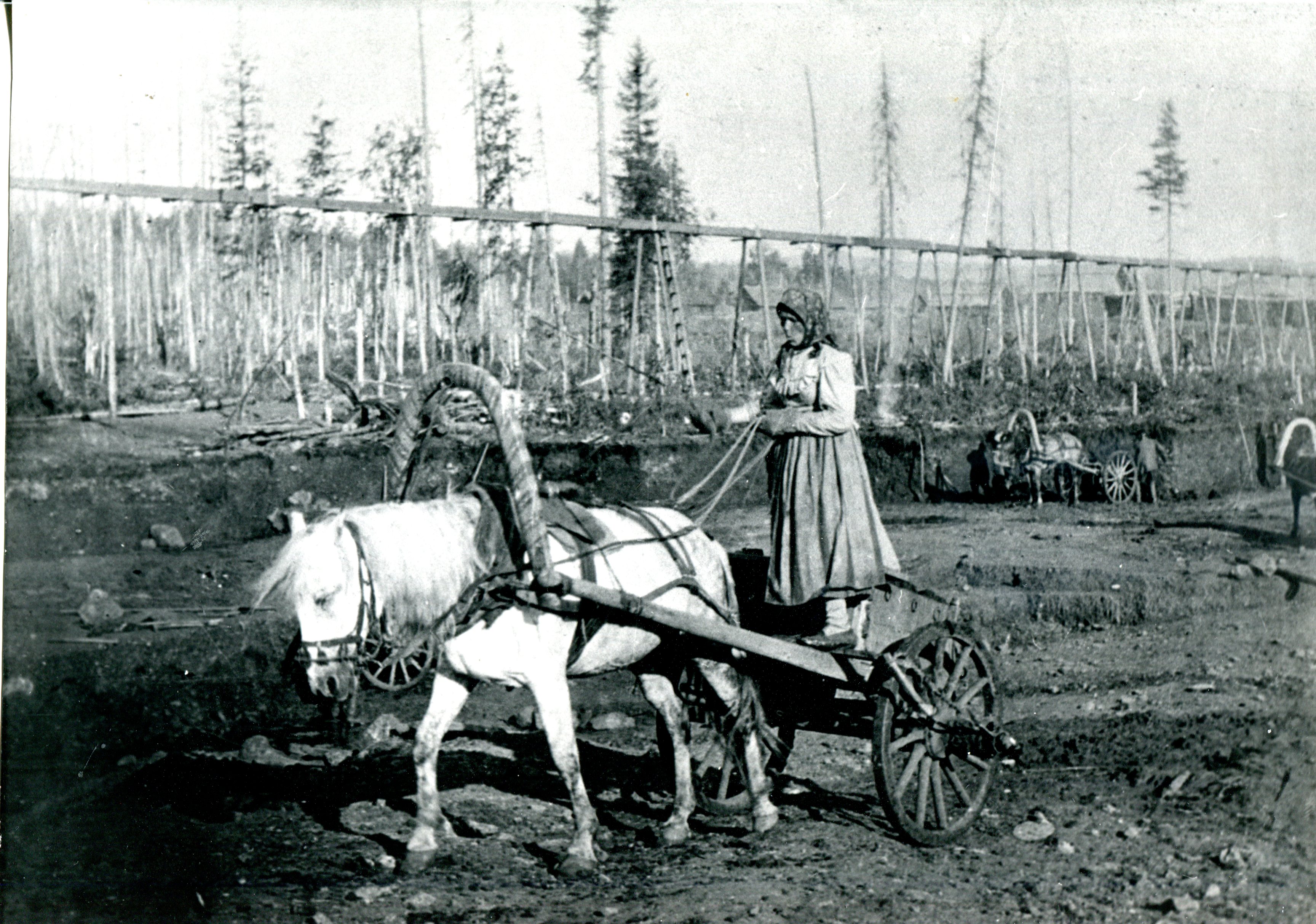 Женщины и дети нередко работали на прииске гонщиками, то есть занимались подвозом песка на промывку. Фото конца XIX в.