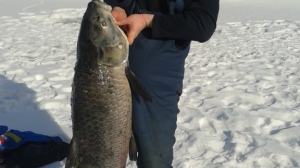 Самый удачливый рыбак