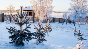 Фото Сергея Чикишева