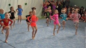 Турнир по художественной гимнастике 2011
