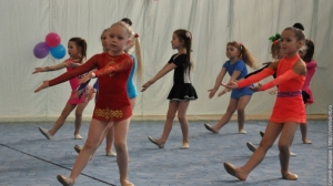 Турнир по художественной гимнастике 2011