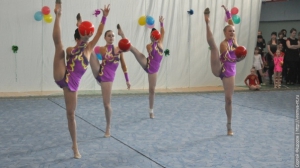 Турнир по художественной гимнастике 2011