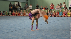 Турнир по художественной гимнастике 2011