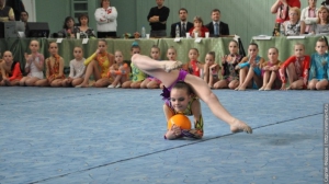 Турнир по художественной гимнастике 2011