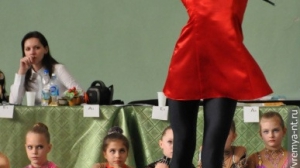 Турнир по художественной гимнастике 2011