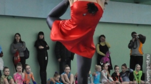 Турнир по художественной гимнастике 2011