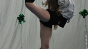 Турнир по художественной гимнастике 2011