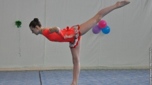 Турнир по художественной гимнастике 2011