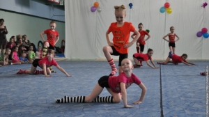 Турнир по художественной гимнастике 2011