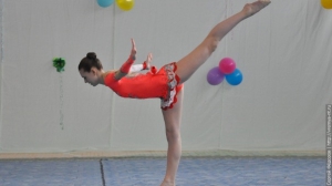 Турнир по художественной гимнастике 2011