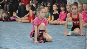 Турнир по художественной гимнастике 2011