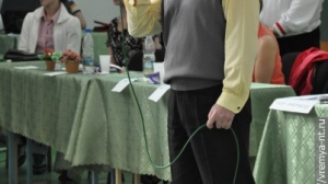 Турнир по художественной гимнастике 2011