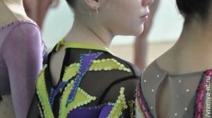 Турнир по художественной гимнастике 2011