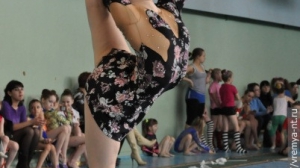 Турнир по художественной гимнастике 2011