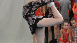 Турнир по художественной гимнастике 2011