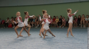 Турнир по художественной гимнастике 2011