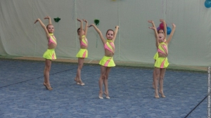 Турнир по художественной гимнастике 2011