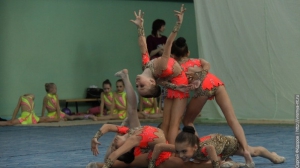 Турнир по художественной гимнастике 2011