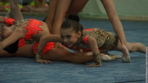 Турнир по художественной гимнастике 2011