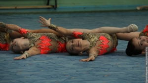 Турнир по художественной гимнастике 2011