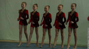 Турнир по художественной гимнастике 2011