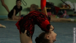 Турнир по художественной гимнастике 2011