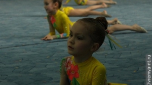 Турнир по художественной гимнастике 2011