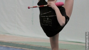 Турнир по художественной гимнастике 2011