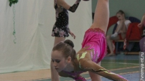 Турнир по художественной гимнастике 2011