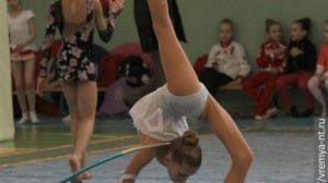 Турнир по художественной гимнастике 2011