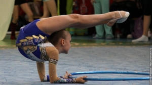 Турнир по художественной гимнастике 2011