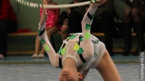 Турнир по художественной гимнастике 2011