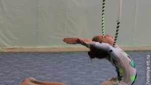 Турнир по художественной гимнастике 2011