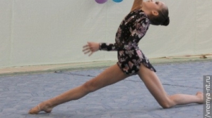 Турнир по художественной гимнастике 2011