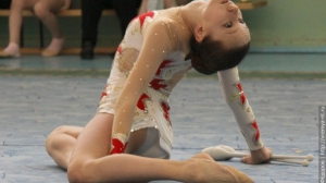 Турнир по художественной гимнастике 2011