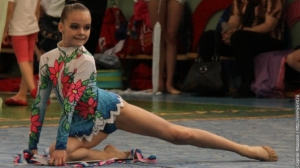 Турнир по художественной гимнастике 2011