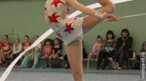 Турнир по художественной гимнастике 2011