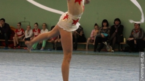 Турнир по художественной гимнастике 2011