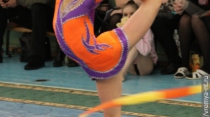 Турнир по художественной гимнастике 2011