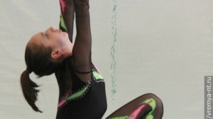 Турнир по художественной гимнастике 2011