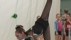 Турнир по художественной гимнастике 2011