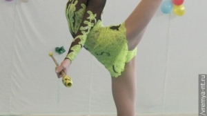 Турнир по художественной гимнастике 2011