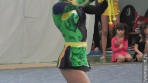 Турнир по художественной гимнастике 2011