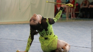 Турнир по художественной гимнастике 2011